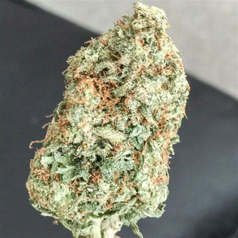 Pink Kush Marijuana Strain Information & Reviews 